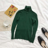 Autumn Winter Women Thick Sweater Knitted Ribbed Turtleneck Sweaters - Acapparelstore