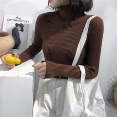 Autumn Winter Women Thick Sweater Knitted Ribbed Turtleneck Sweaters - Acapparelstore