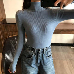 Autumn Winter Women Thick Sweater Knitted Ribbed Turtleneck Sweaters - Acapparelstore