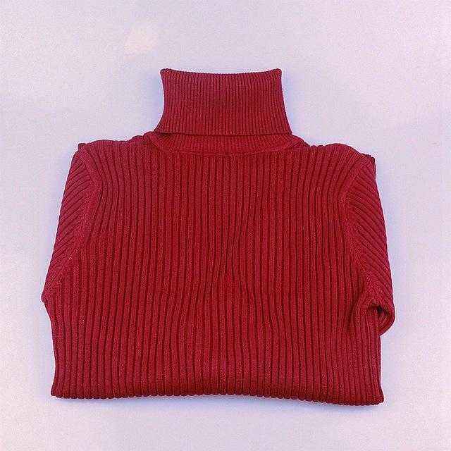 Warm Thick Turtleneck Autumn Winter SweaterWomen&