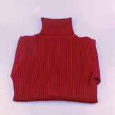 Warm Thick Turtleneck Autumn Winter SweaterWomen&