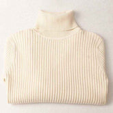 Warm Thick Turtleneck Autumn Winter SweaterWomen&