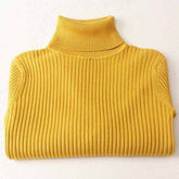 Warm Thick Turtleneck Autumn Winter SweaterWomen&
